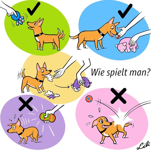 Chiwava 4 Stücke 6cm Quitschende Hundespielzeug aus natürlichem Latex - Lustige Tier - Sets für kleine Hunde, zum schnellen Fangen und Spielen