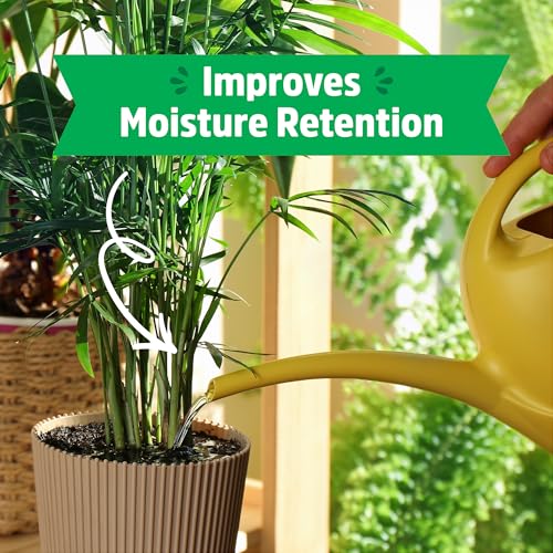 Back to The Roots 100% Organic Vermiculite | Made in The USA | Premium Nutrition for Indoor and Outdoor Plants