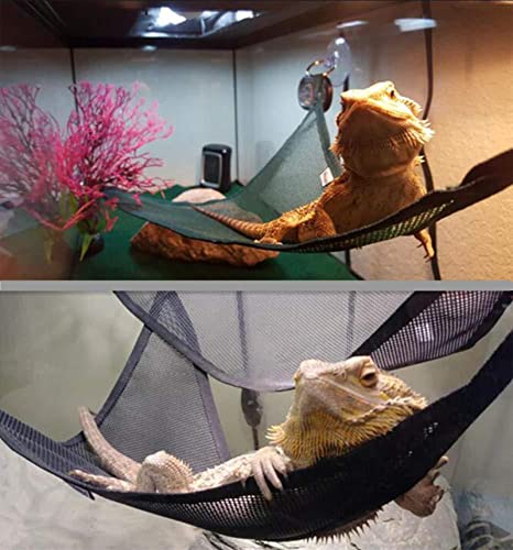 Lucky Interests 4 espreguiçadeiras de rede para répteis, rede de lagarto com ventosa forte, triângul