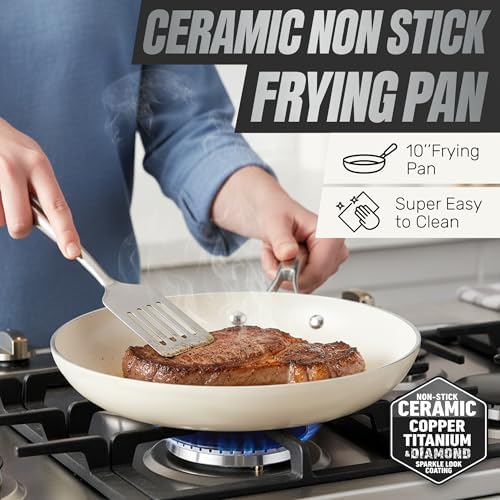 GOTHAM STEEL 10 Inch Non Stick Frying Pans Nonstick Skillet, Ceramic Pan for Cooking Non Toxic, Nonstick Frying Pan Skillets with Stay Cool Handle, Fry Pans, Oven and Dishwasher Safe