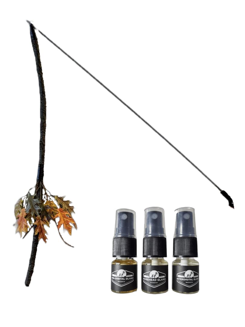 Buck Vine Ultimate Hanging Vine Mock Scrape System. 3 Communication Glands | Deer Attractant | Deer Hunting Gear | Trail Camara Accesory | Vine | Buck Stick