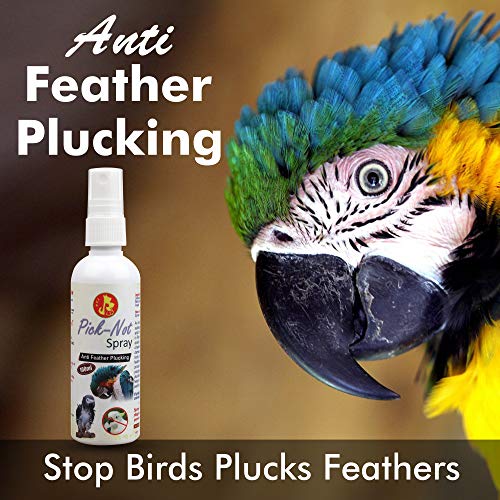 Image of Pet Care International (PCI) Pick-Not Spray || Anti Feather Plucking || Stop Birds Plucks Feathers || 100ml