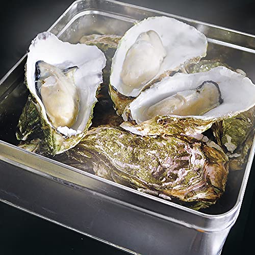 赤崎産牡蠣のカンカン焼