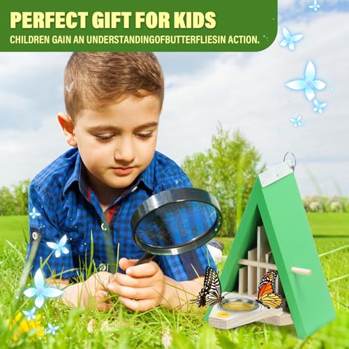 image for Axiqunel Butterfly House, Wooden Butterfly Feeder Garden Decoration fo