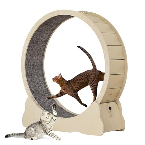 Keyzone Cat Wheel, Cat Exercise Wheel For Indoor Cats, Cat Running Wheel with Carpeted Runway, Cat Treadmill for Kitty’s Longer Life, 39.3