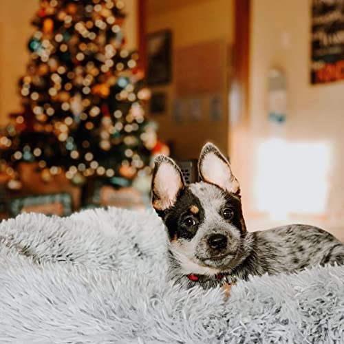 Aeyaka Cat Blanket Dog Blanket Pet Blanket Fluffy Fleece Soft Snuggle Blanket Plush Faux Fur Warm Dog Mat Washable Puppy Couch Sofa Bed Cover Pad Dog Donut For Dogs & Cats Grey M 20X30Inch #TOP6