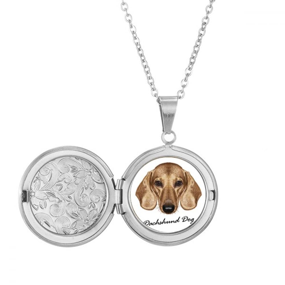 Collier teckel marron médaillon léger ne noircit pas pour peau sensible - 5