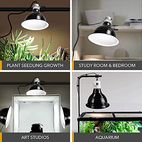 Simple Deluxe PTCLAMIN50DMLTSCTRLV2 50W Reptile Ceramic Heat Bulb No Light Emitting With 5.5 Inch 60W Dome Light Clamp Lamp Fixture And Digital Thermostat Controller thumb #5