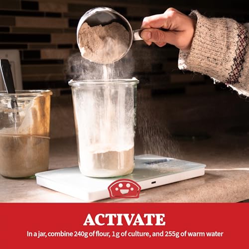 Image of Bakers Club Rapid 24-Hour Sourdough Starter Culture - Makes 5 Batches - Mix, Ferment & Bake Next Day - Tangy Flavor without Weeks of Waiting - Best Dehydrated Sour Dough Starter for Home Bread Bakers