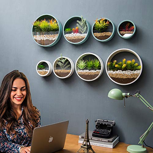 Knikglass Mixed Set Of 4 Hanging Wall Planters Circle Vertical Planters Round Air Plant Holder Vintage Flower Pot Succulent Cactus Container Iron Retro Metal Vase For Wall Decor Accents (White) #TOP3