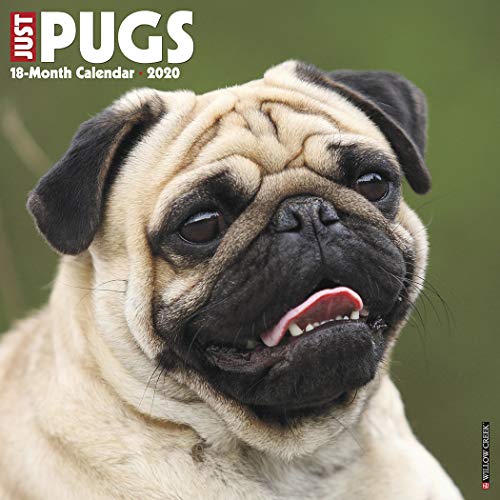 Télécharger Just Pugs 2020 Calendar Livre eBook France