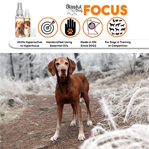 The Blissful Dog Spray de aromaterapia para cães Vizsla Focus para concentração canina