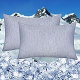 HOMFINE Fundas de Almohada Enfriamiento - Fibra de Enfriamiento Japonesa Q-MAX 0.45, Azul (40 X 80 CM*2)
