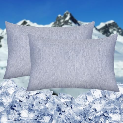 HOMFINE Taies Oreiller Fraicheur Lot de 2, Fibre de Refroidissement Japonaise Q-Max 0.45, Protège Oreiller Respirante Douce avec Fermeture à Glissière Cachée, Bleu 440 X 80 CM