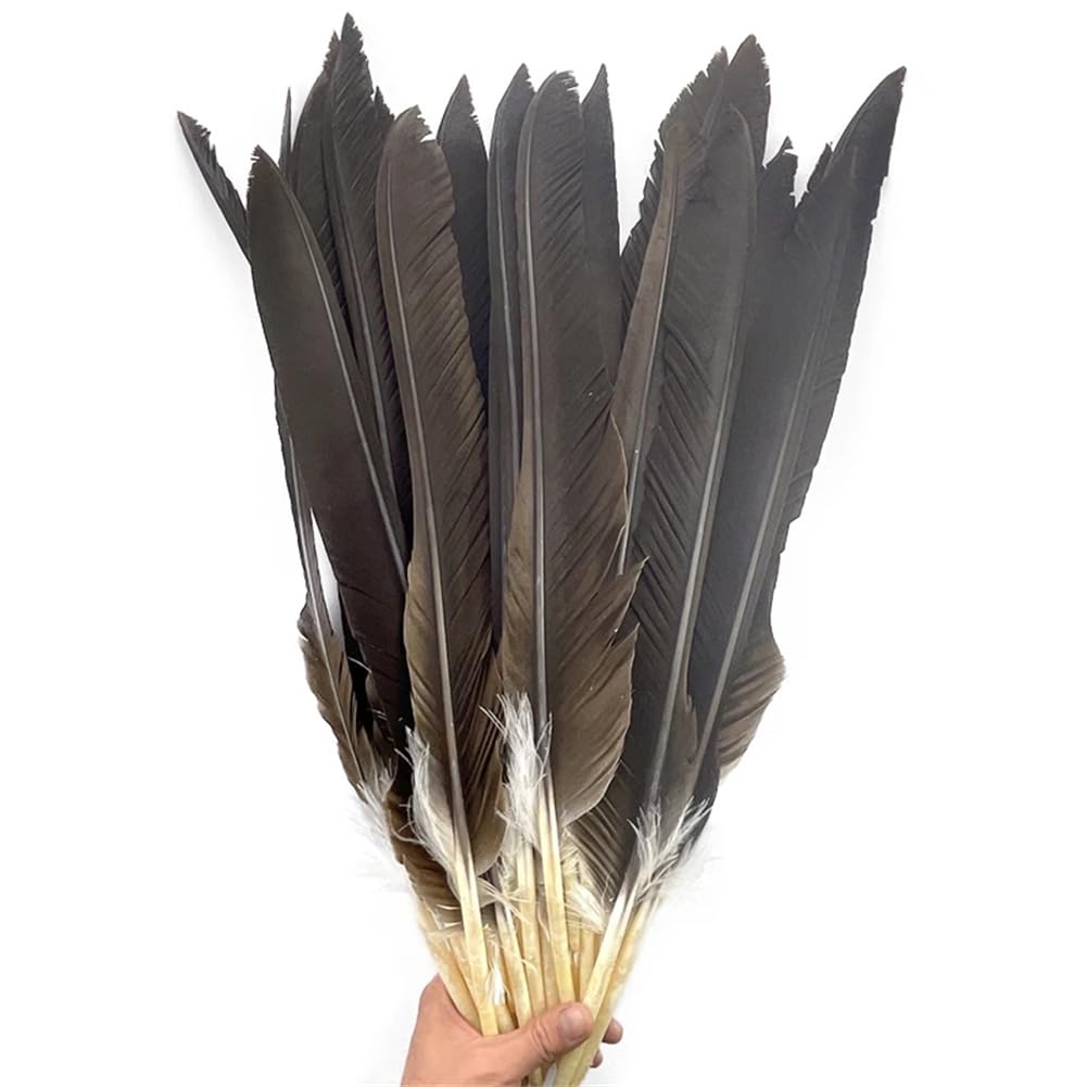 Lot 10 Plumes D’Aigle Naturelles 15-40 Cm – Loisirs Créatifs, Mariage, Déco Bohème & Artisanat
