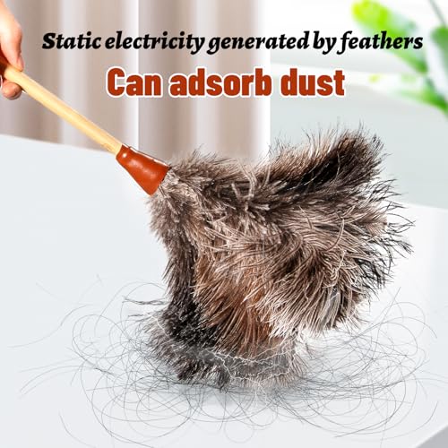 Image of 16inch Natural Good Ostrich Feather Duster with Bamboo Handle, Electrostatic Dust Remove for Ceiling,Fans,Bookshelves, Sofa, Windows, Fit for Home, Office and Cars