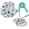 Adjustable Rabbit Harness and Leash Set Lightweight Pet Harness Breathable Cute Rabbit Harness with Safety Buckles for Small Pets