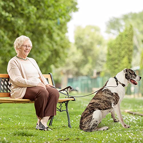 PETTOM Hundehalsband, Zugstopp Halsband Hunde mit Sicherheitsschloss, Halsband Breit Verstellbar und Reflektierend für Große Mittlere und Kleine Hunde