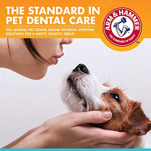 Image of Arm & Hammer for Pets Fresh Breath Enzymatic Dog Toothpaste, Vanilla Ginger Flavor, Safe for Puppies and Adult Dogs, Daily Baking Soda Dental Gel to Eliminate Bad Breath, 2.5 Oz - 72 Pack