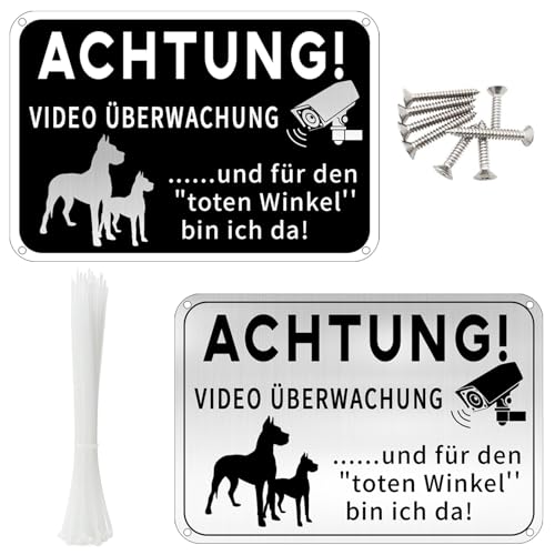 Wie viel sollte eine Katze wiegen? Tipps für das richtige Gewicht