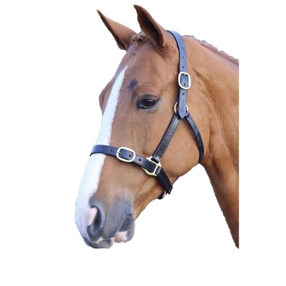Shires Blenheim Fully Adjustable Leather Headcollar-Black Extra Full