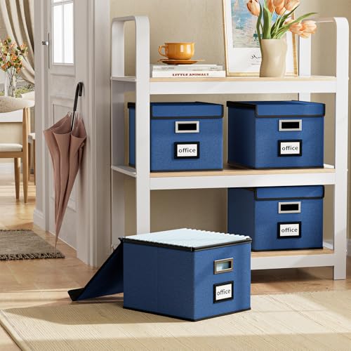 Image of File Organizer Box with Lids, Collapsible File Folder Organizer