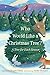 Who Would Like a Christmas Tree?: A Tree for Each Season