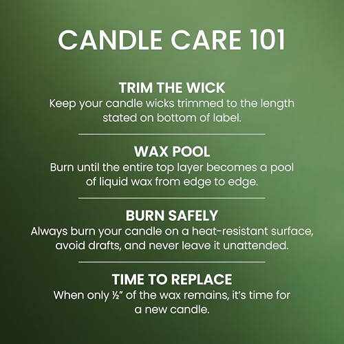 Yankee Candle Large Jar Scented Candle with up to 150 Hour Burn Time, Premium Plant Wax Blend for Consistent Burn, 22 oz Jar Candle with Room Filling Fragrance, Balsam & Cedar