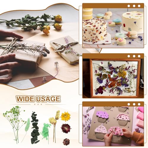 2 Sets de Flores Secas Naturales para Manualidades miniatura 6