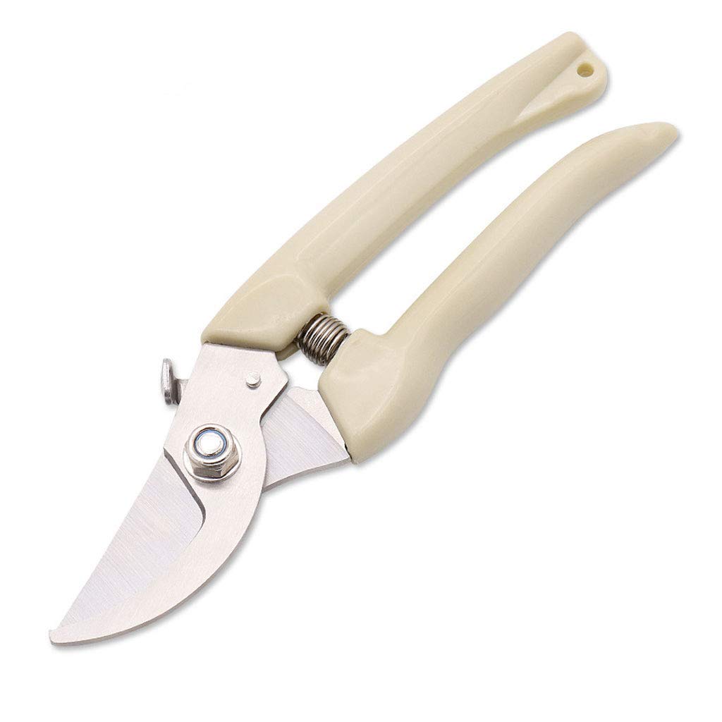 Cesoie per potatura, Cesoie per potatura a Mano, Cesoie per Rami di Frutta, Cesoie per Rami Spessi, Cesoie per invasatura, Manico in Gomma Antiscivolo (A 175 * 45 * 2,5 mm)