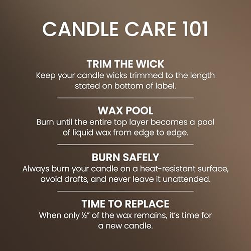 Yankee Candle Large Jar Scented Candle with up to 150 Hour Burn Time, Premium Plant Wax Blend for Consistent Burn, 22 oz Jar Candle with Room Filling Fragrance, Seaside Woods