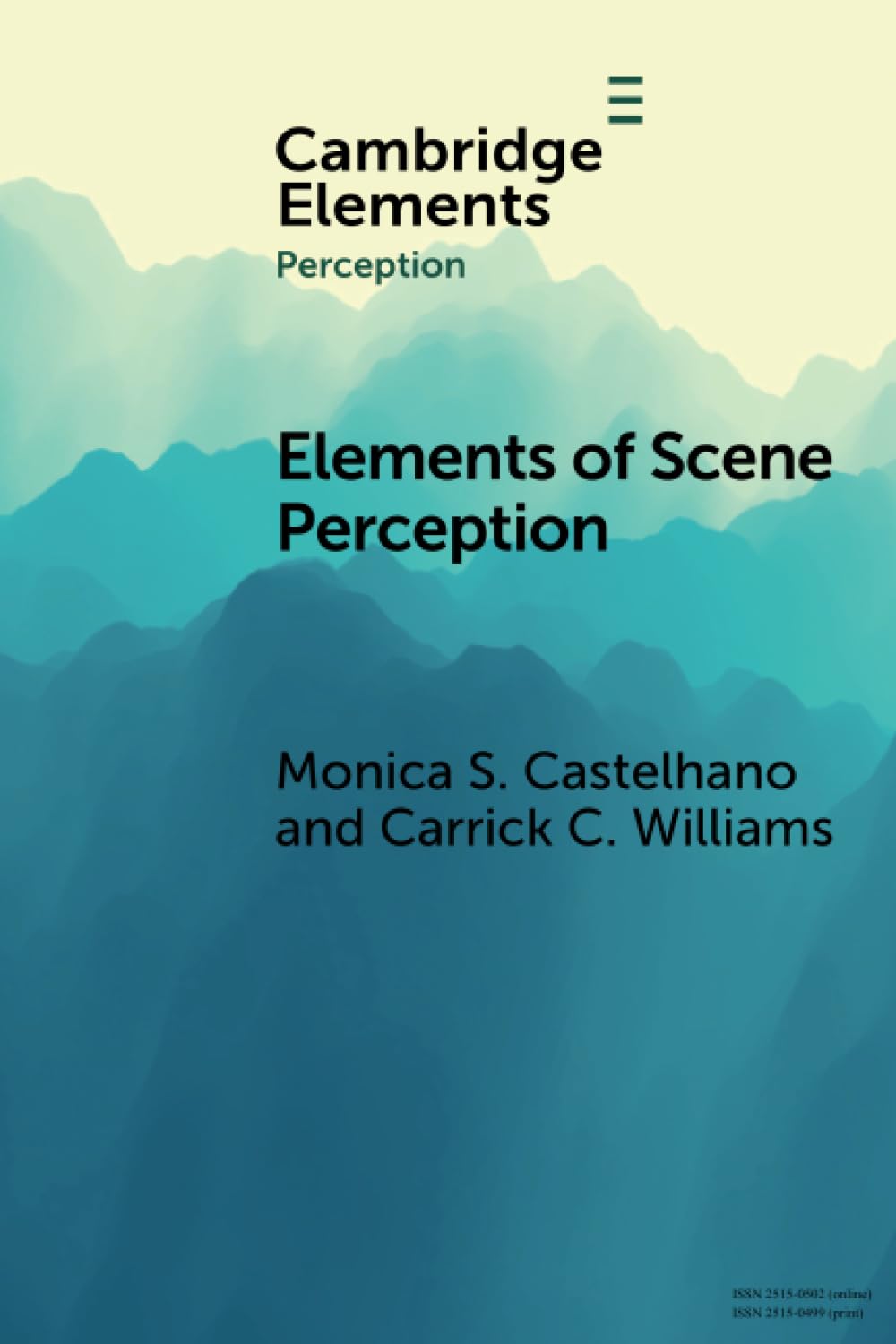 Elements of Scene Perception (Elements in Perception)