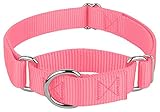 Country Brook DesignÃ‚Â Martingale Heavyduty Nylon Dog Collar - Pink - Small
