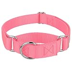 Country Brook Petz - Martingale Dog Collar - Heavy-Duty Training Collar with No Buckle - Service Dog Collar for All Pups - 20 Vibrant Colors (Pink, 1 Inch, Medium)