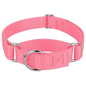 Country Brook Petz – Martingale Dog Collar – Heavy-Duty Training Collar with No Buckle – Service Dog Collar for All Pups – 20 Vibrant Colors (Pink, 1 Inch, Medium)