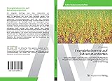 Energieholzernte auf Extremstandorten: Betrachtungen zur Effizienz und Wirtschaftlichkeit moderner Erntetechnik auf Energieholzplantagen in Südbrandenburg