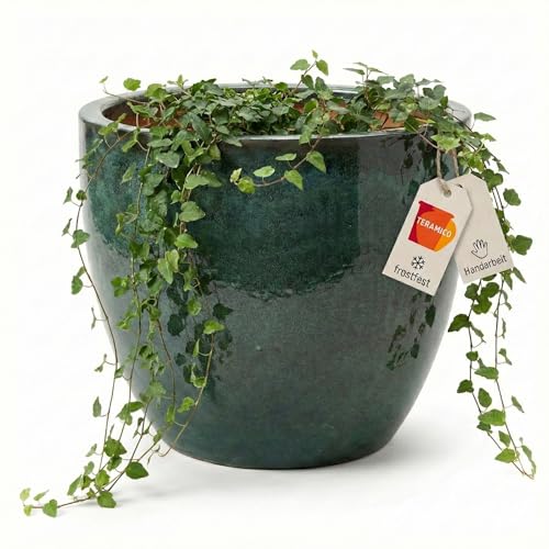 Teramico Premium Pflanzkübel Keramik glasiert – 100% Frostfest & Handarbeit. Blumenkübel mit Loch für Außen & Innen. Hochwertiger Übertopf Unikat Winterfest (Moos Grün, 38cm x 31cm)