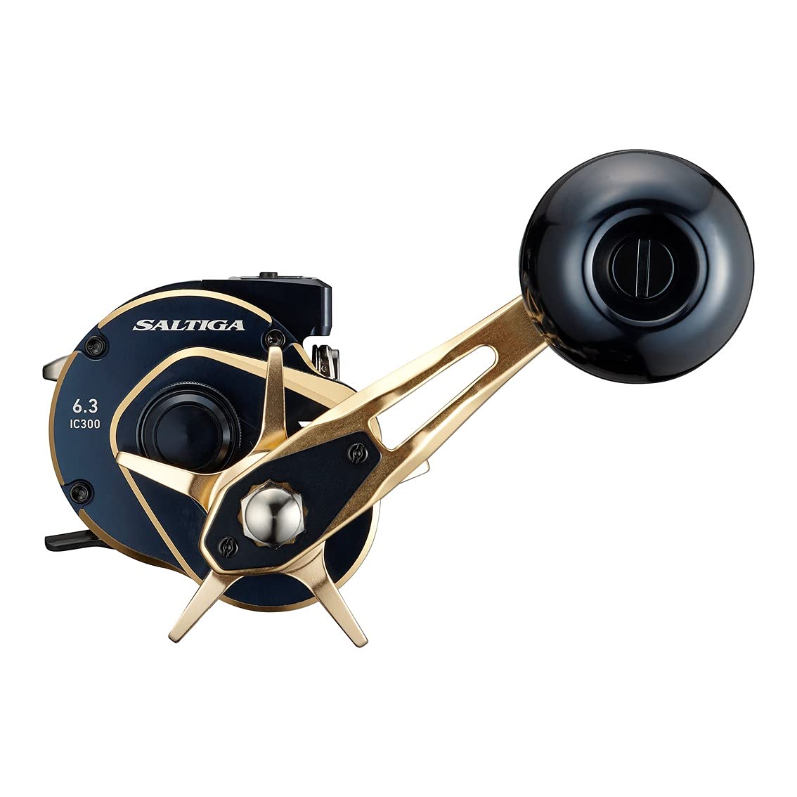 Daiwa 21 Saltiga IC 300 : Amazon.ca: Sports & Outdoors