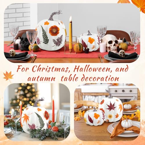 Set DIY de Calabazas Otoñales 54 Piezas Suncalla miniatura 4