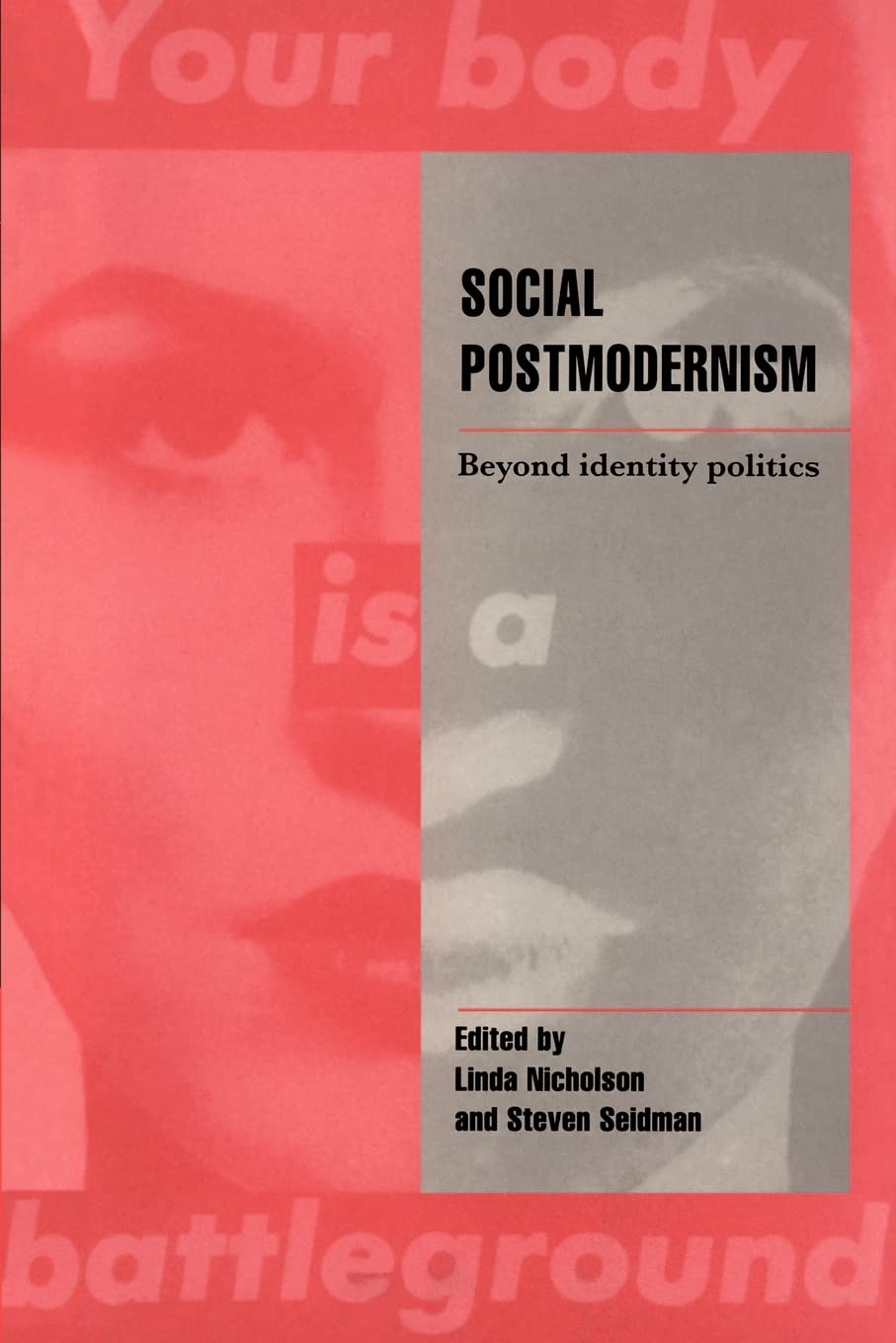 Social Postmodernism: Beyond Identity Politics (Cambridge Cultural Social Studies)