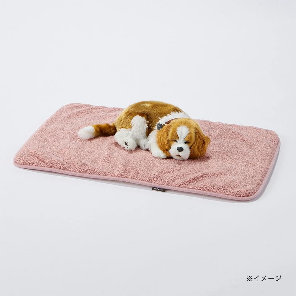 プードルちゃん ブランケット Amazon｜カインズ(CAINZ) 犬猫兼用 ブランケット Sサイズ プードルボア