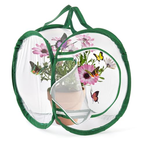 Cage à insectes ZENFUN : la solution pop-up pour protéger et élever vos chenilles - 12