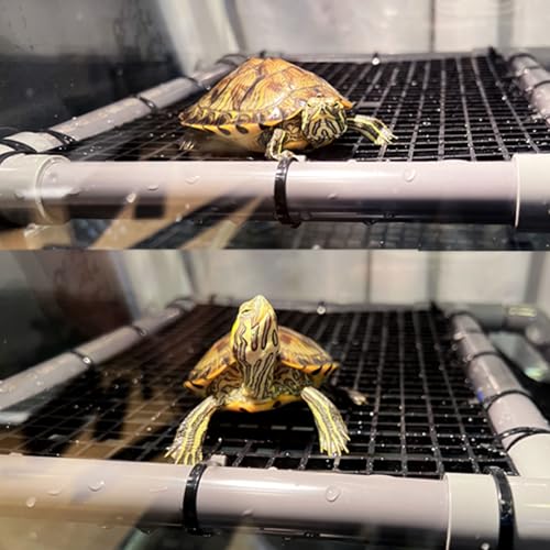 Image of Turtle Basking Platform for Aquatic Turtles Docks, 10.5 inch Width Aquatic Tortuga Basking Area Ramps Turtle Tank Accessories Platforms Topper Large Medium for 12 inches Wide Aquarium Stand (SG-10.5 inch)