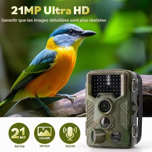 Caméra de Chasse COOLIFE Caméra de Surveillance Étanche...