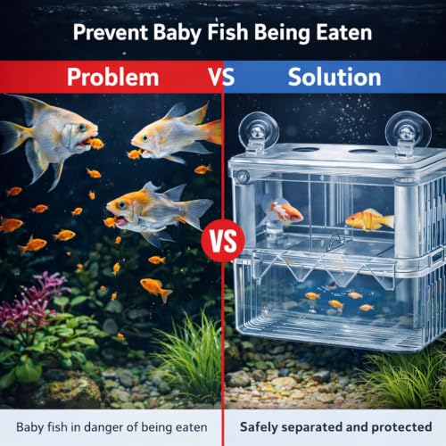 Image of Double Deck Aquarium Breeding Box Medium (14x8x14 cm) Acrylic Fish Fry Isolation Tank | Air Pump Connectable Oxygen Supply | Strong Suction Cup Breeder Box for Guppy, Molly, Betta