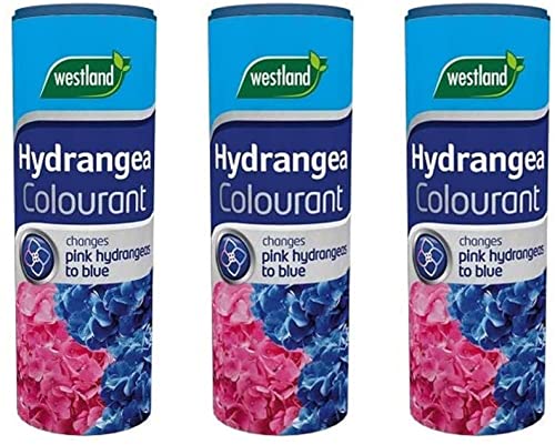 Westland Lot de 3 colorants pour hortensia 500 g