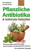  Pflanzliche Antibiotika & Antivirale Heilmittel: Die Heilkraft aus der Natur
