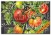 CounterArt Chalkboard Veggies Glass Cutting Board, 8 by 12-Inch