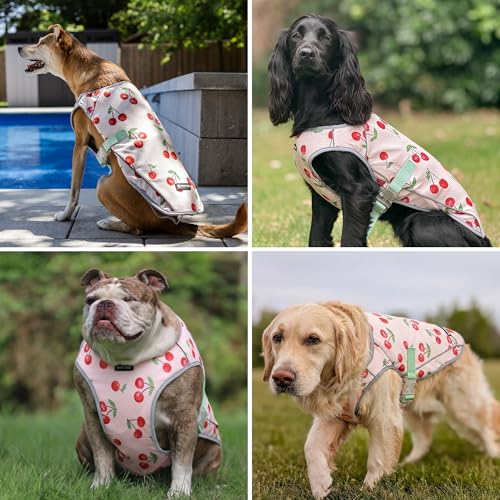 Image of Spark Paws Dog Cooling Vest - SPF 50 UV Sun Protection - Summer Heat Relief Gear for Dogs, Lightweight, Evaporative Cooling - Dog Anxiety Relief Vest During Hot Days - Cherries - Size XL