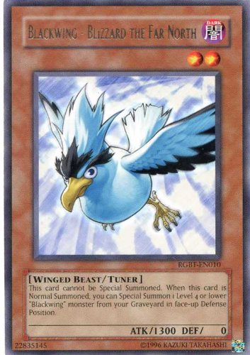 Amazon.com: Yu-Gi-Oh! - Blackwing - Blizzard The Far North (RGBT